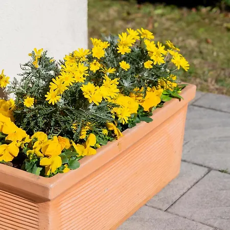 E Giardino